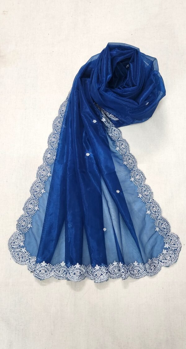 Silver Embroidered Blue Shade Net Dupatta View 2